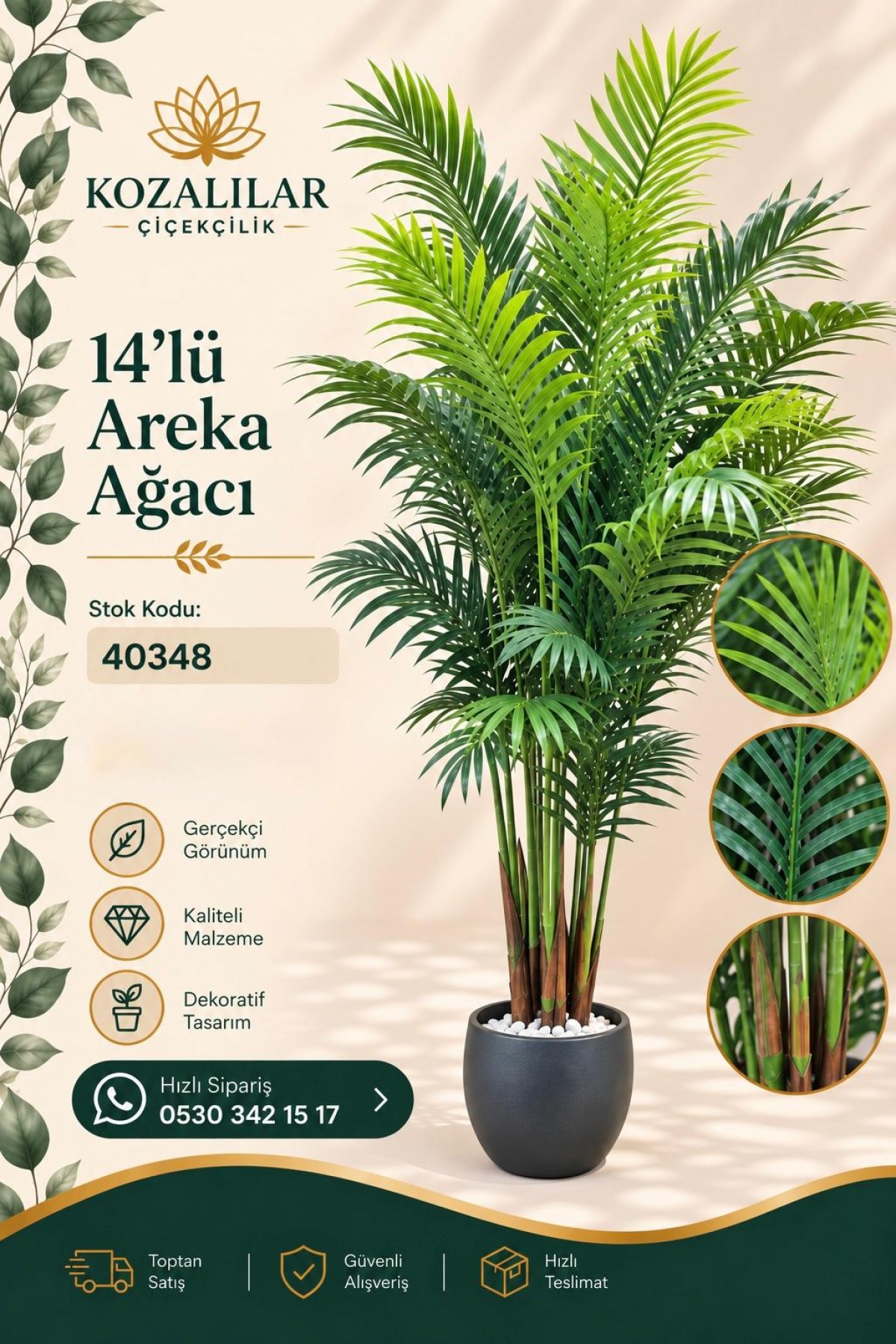 14LÜ AREKA AĞACI (P)